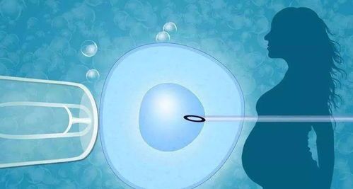 "试管婴儿的胚胎被调包了"｜情感故事：信任危机背后，辅助生殖技术如何守护生命伦理？