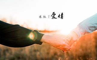 如何科学应对对方的冷漠期