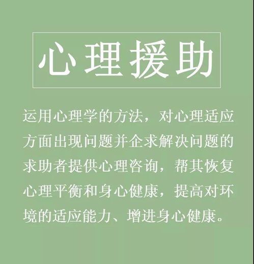 心灵驿站专家指南：如何破除嫉妒与比较心理的恶性循环？