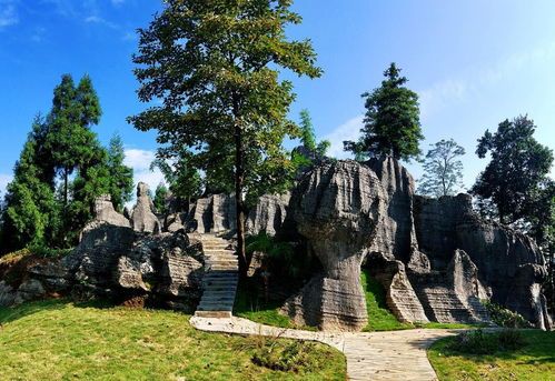 情感故事：借腹生子后的夺子战争——法律漏洞与人性博弈