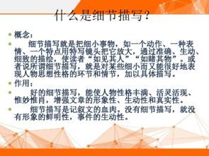 心灵驿站冥想指南：如何通过深度练习连接内在智慧？